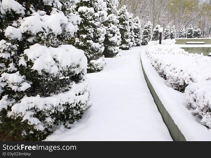 The winter scenery of park. The winter scenery of park