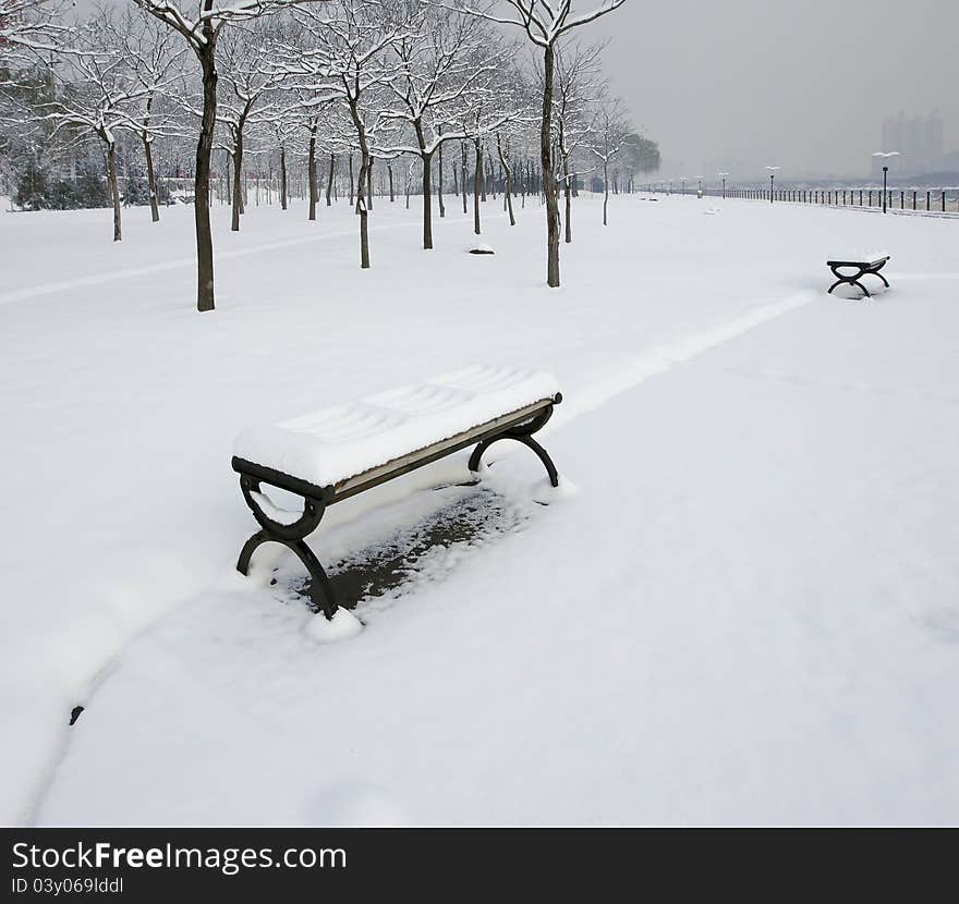 The scenery of park in winter. The scenery of park in winter