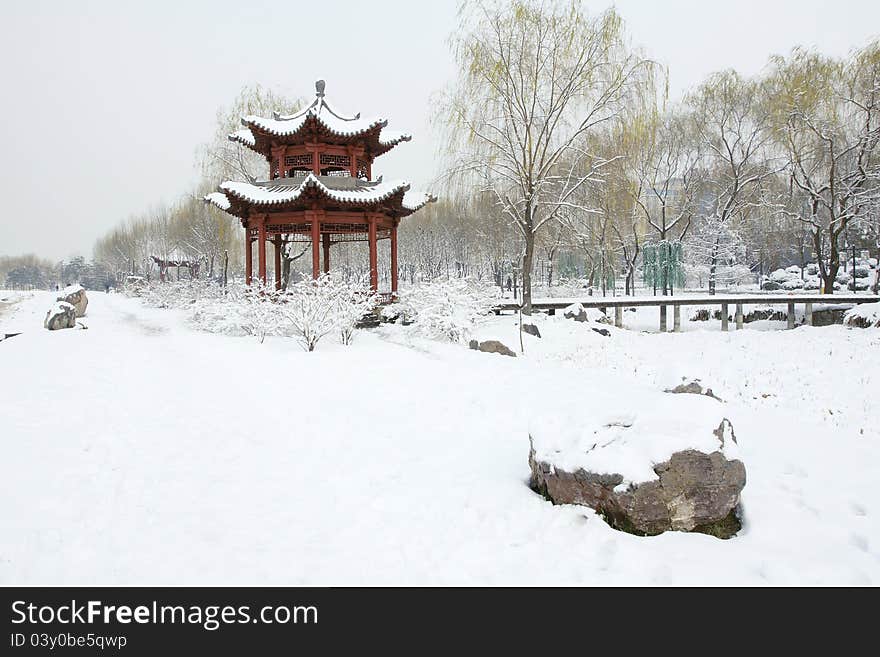 The scenery of park in winter. The scenery of park in winter