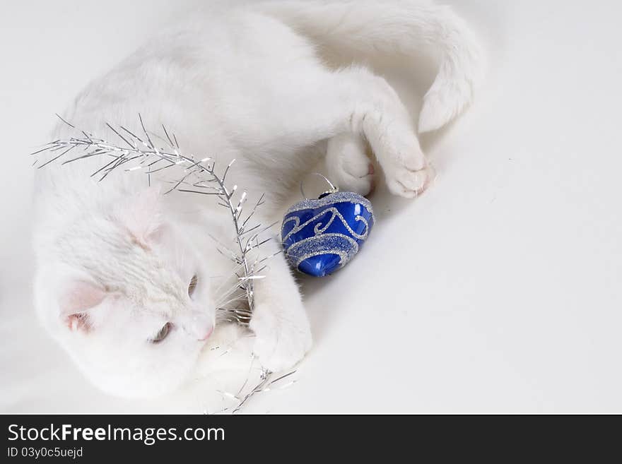 Cat playing with christmas ornaments