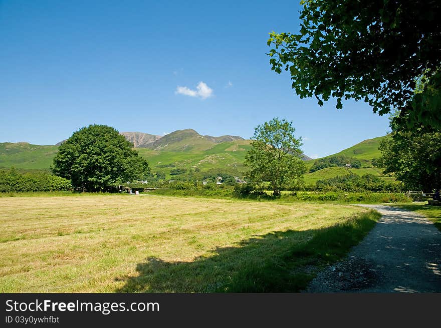 Nature Of Cumbria