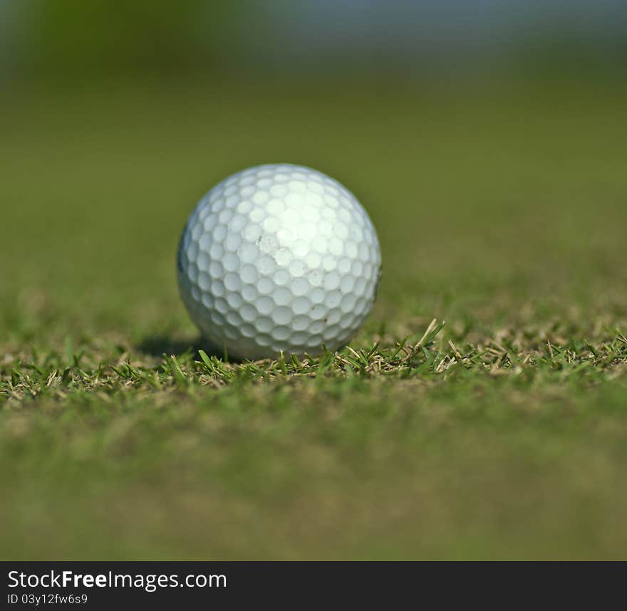 Golf ball on grass close up with shallow focus