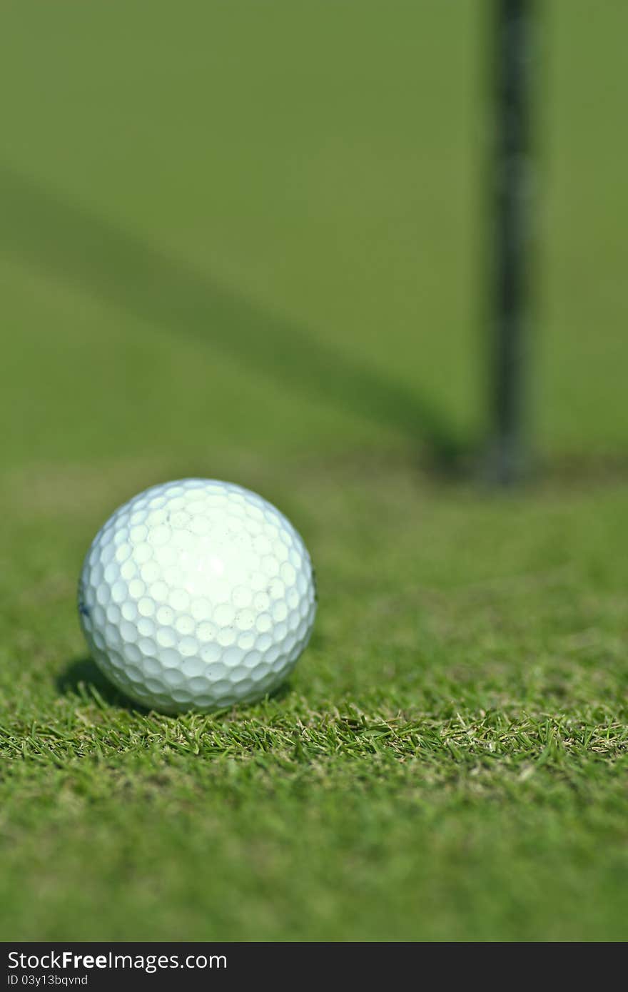 Golf ball on grass close up with shallow focus