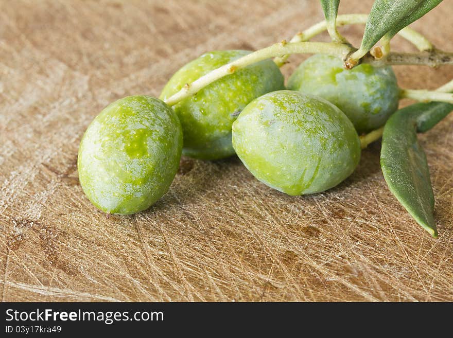 Close up of branch Olives