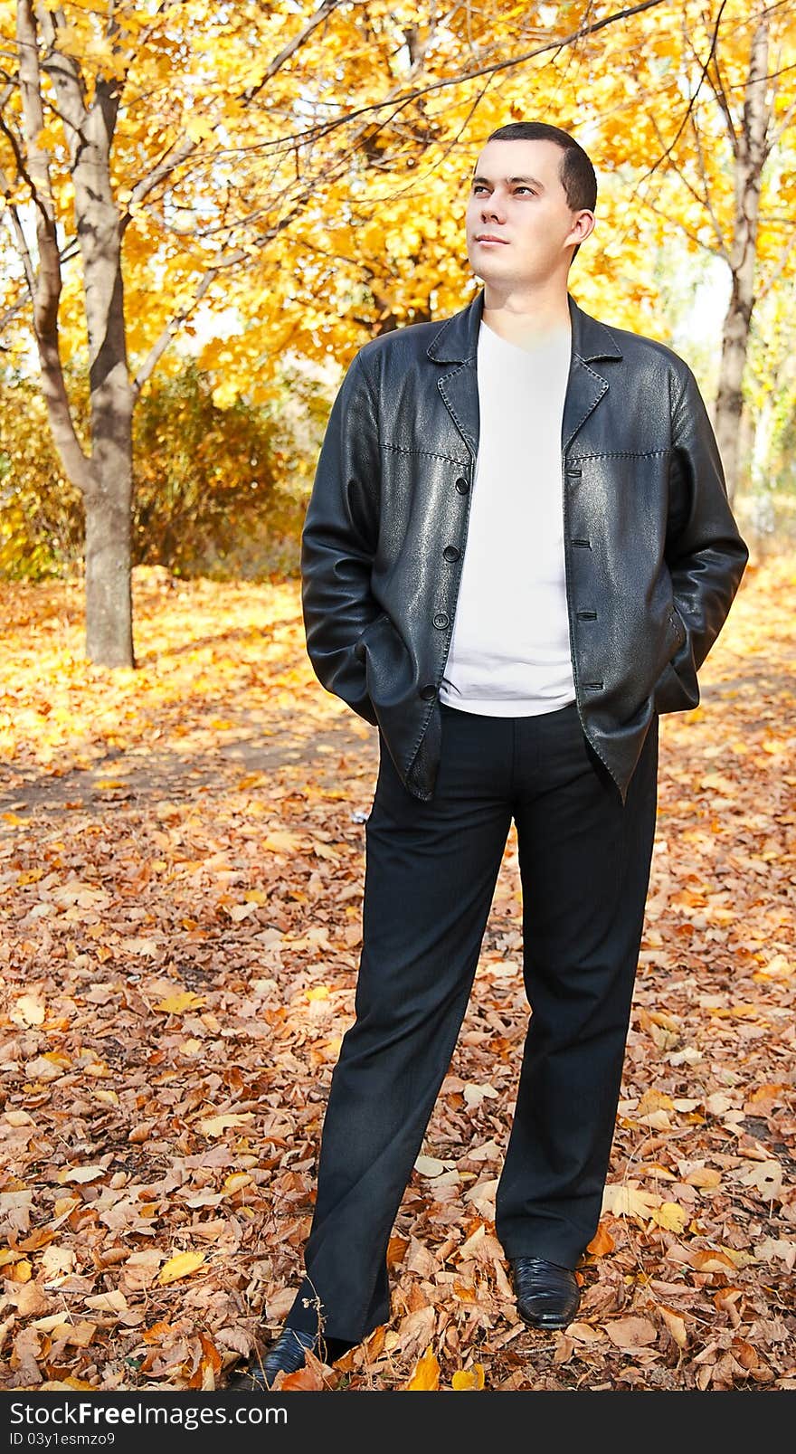 Outdoors portrait of young man in autumn park. Outdoors portrait of young man in autumn park