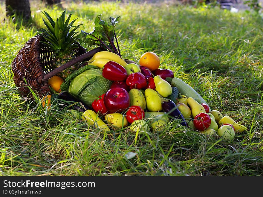 A harvest of seasnon vegetables spilling from a wicker basket. A harvest of seasnon vegetables spilling from a wicker basket