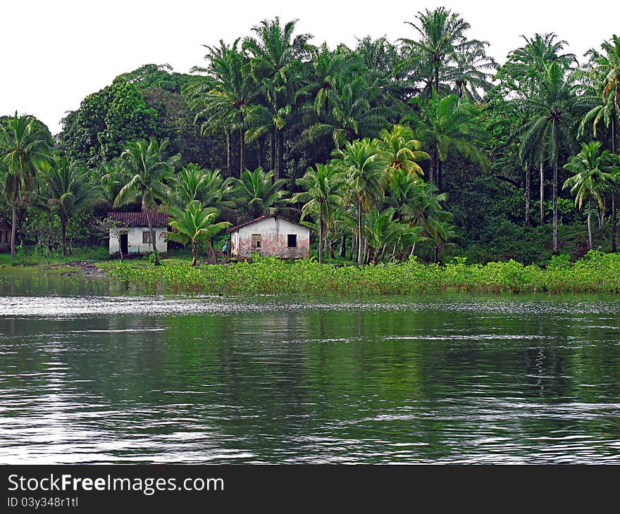 Houses in the forest