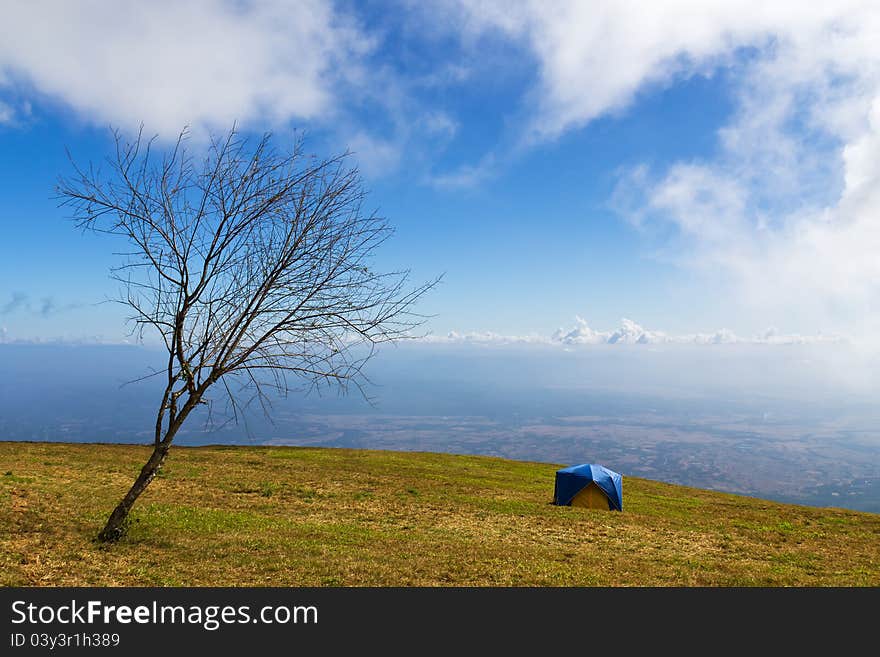 Tent on a grass