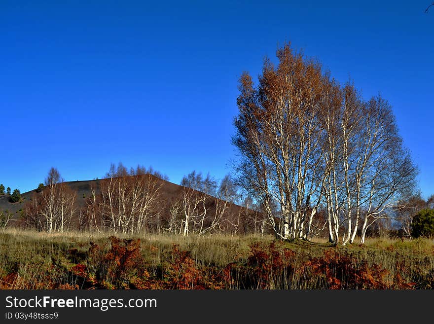 Natural scenery of the Etna Regional Park in Zafferana - Catania (Sicily)