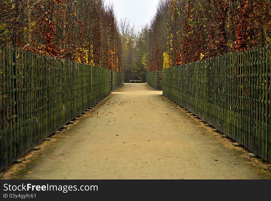 Footpath in autumn, Versailles gardens, France