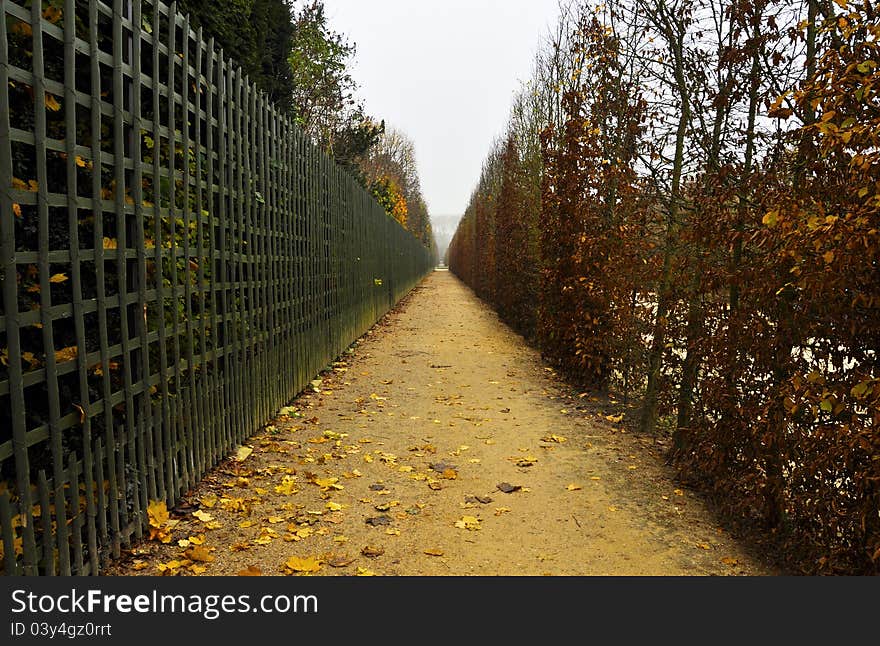 Footpath in autumn