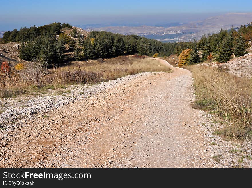 A walking trail along Barouk Cedars of Lebanon. A walking trail along Barouk Cedars of Lebanon