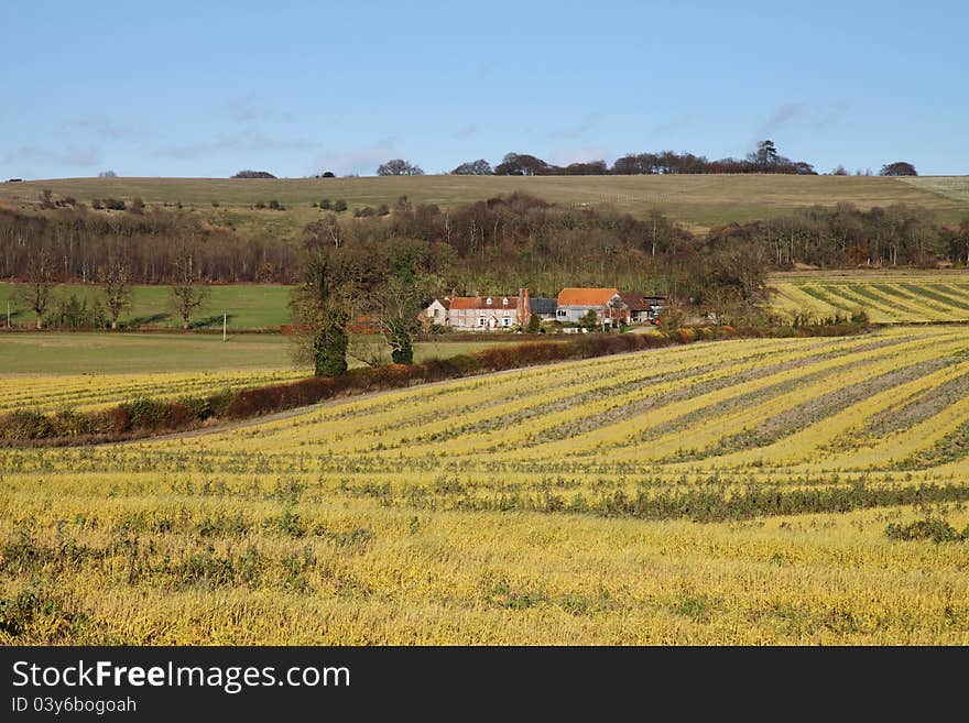 An English Rural Landscape with Farm