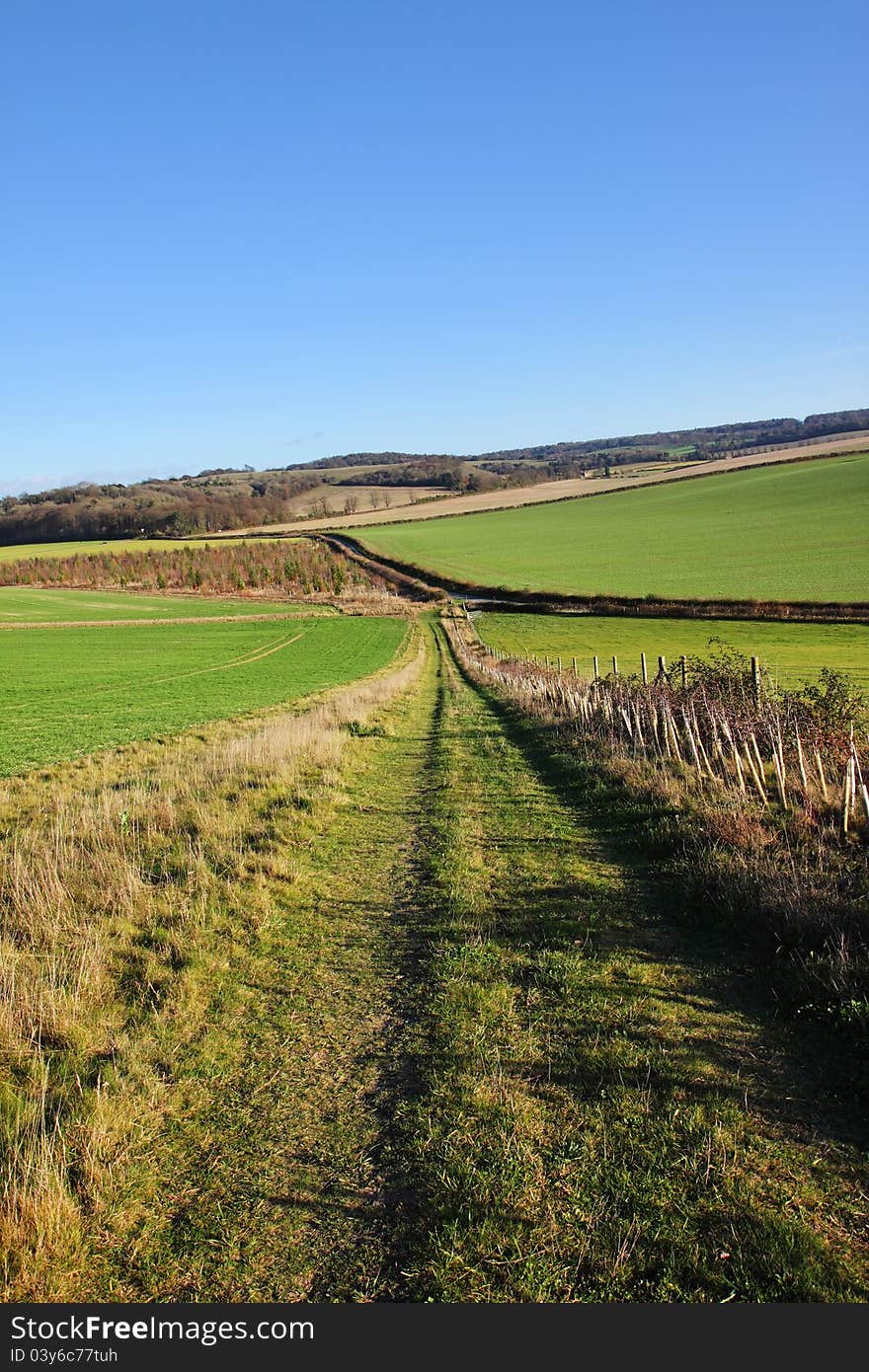 An English Rural Landscape in the Chiltern Hills