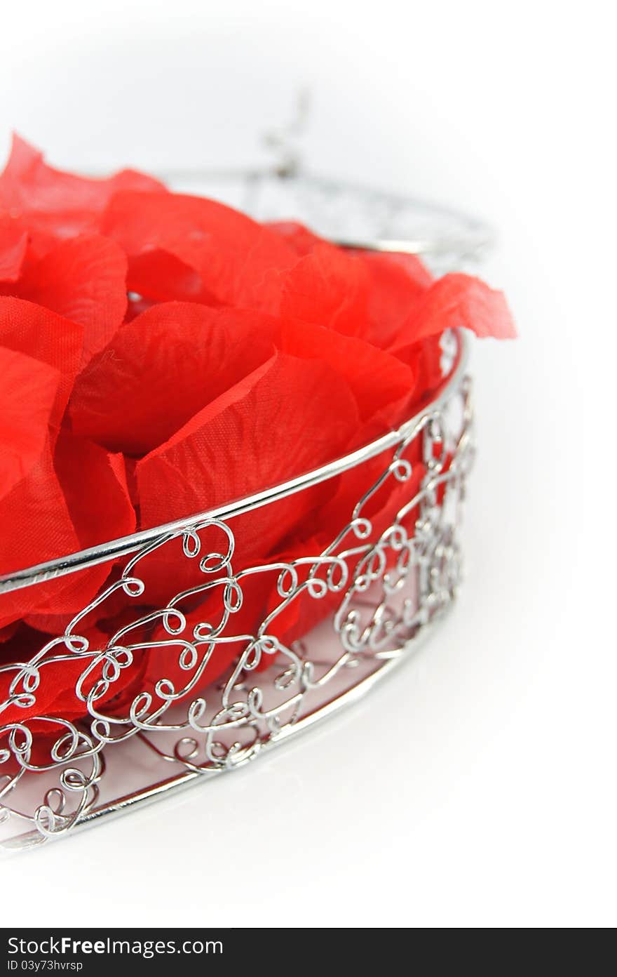 Shining metal box with rose petals  on white