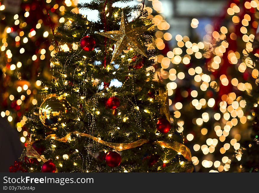 Christmas light decorations set up on beautiful christmas trees for the holidays