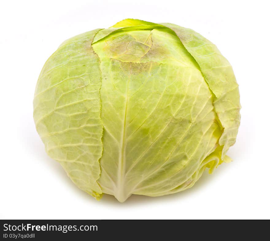 Fresh cabbage for food on white background