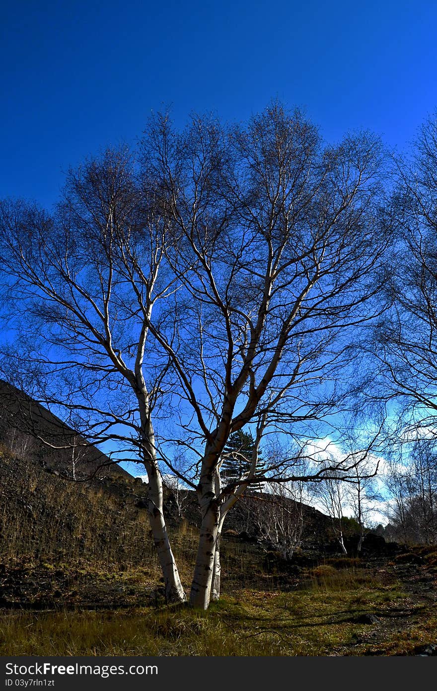 Natural scenery of the Etna Regional Park in Zafferana - Catania (Sicily)