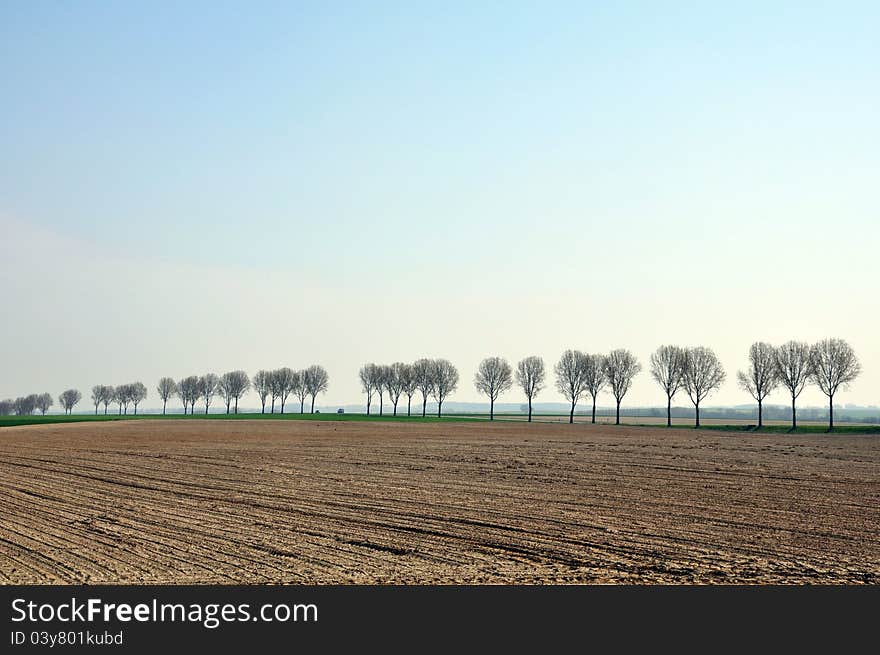 An empty field on a windswept plain in northern europe. An empty field on a windswept plain in northern europe