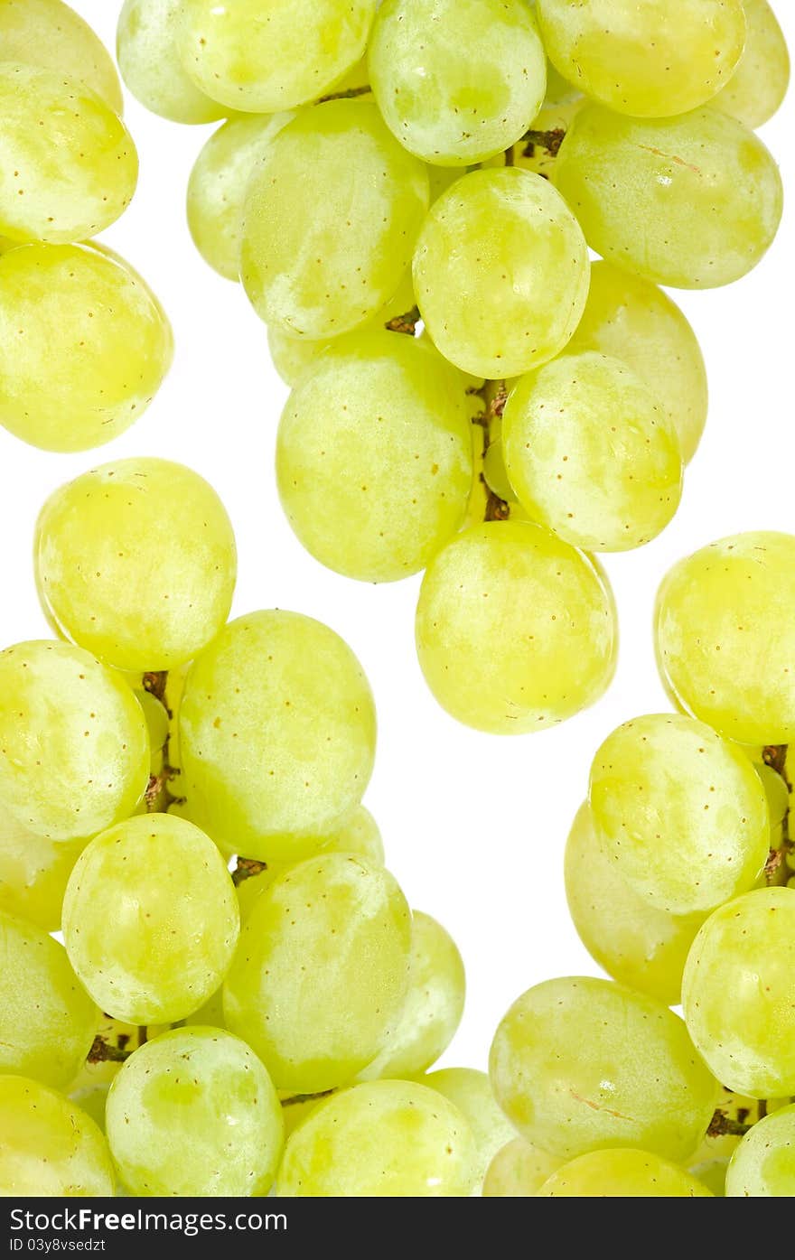 White Grape Background