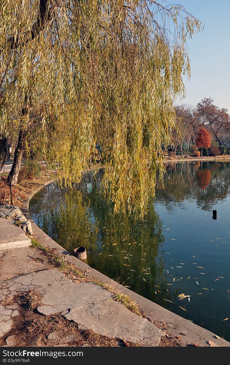 Still lake in evening autumn time. Still lake in evening autumn time