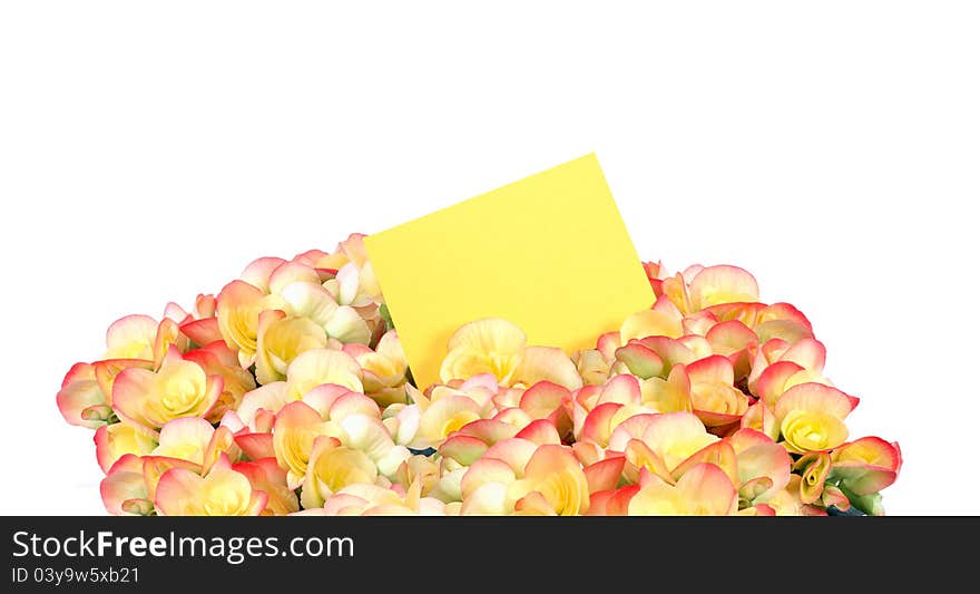 Bunch Of Flowers With Greeting Card