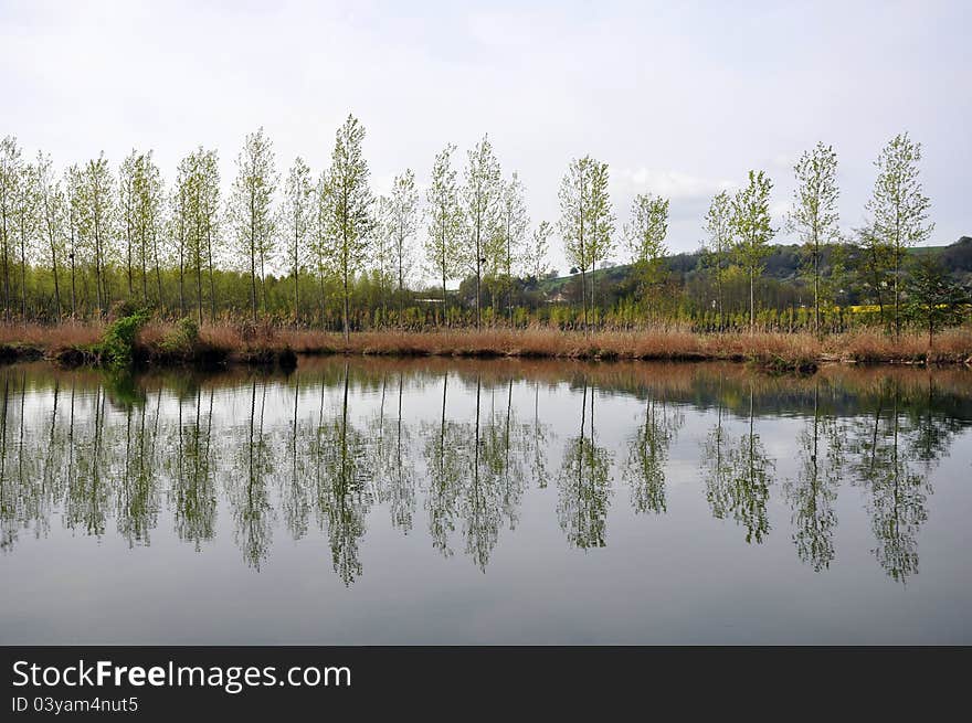 River Reflections