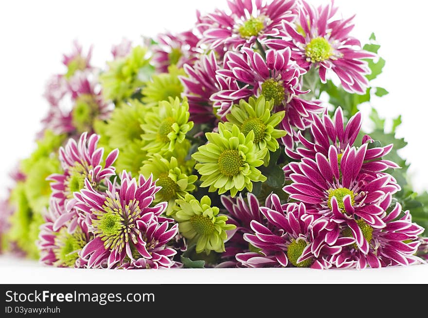 Bouquet of pink and green chrysanthemums on a white background. Bouquet of pink and green chrysanthemums on a white background