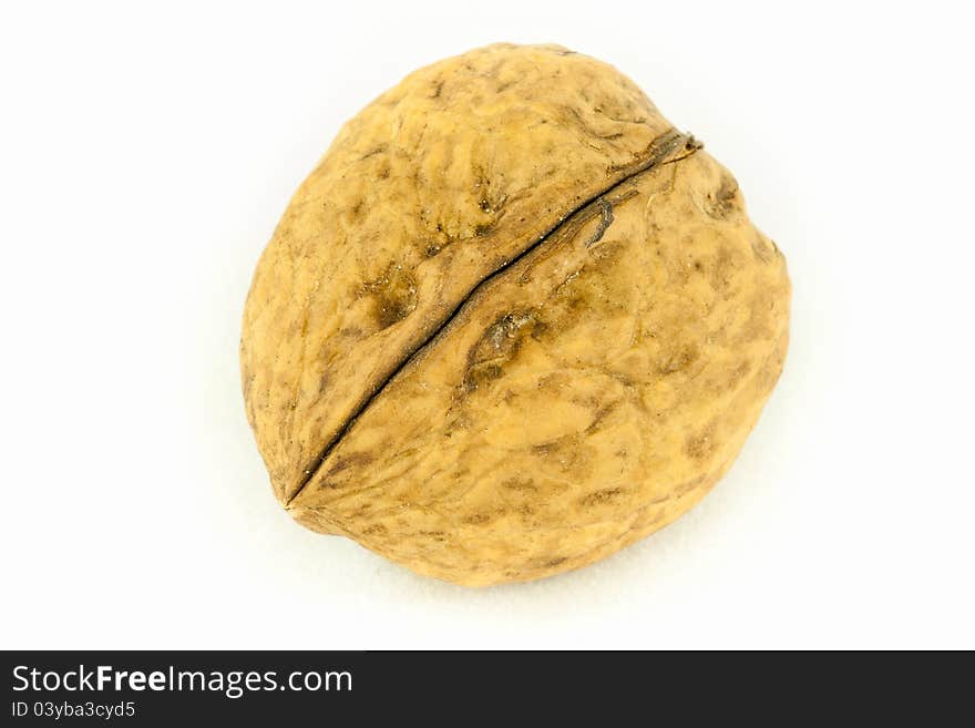 Walnut (Juglans regia) on a white background, isolated