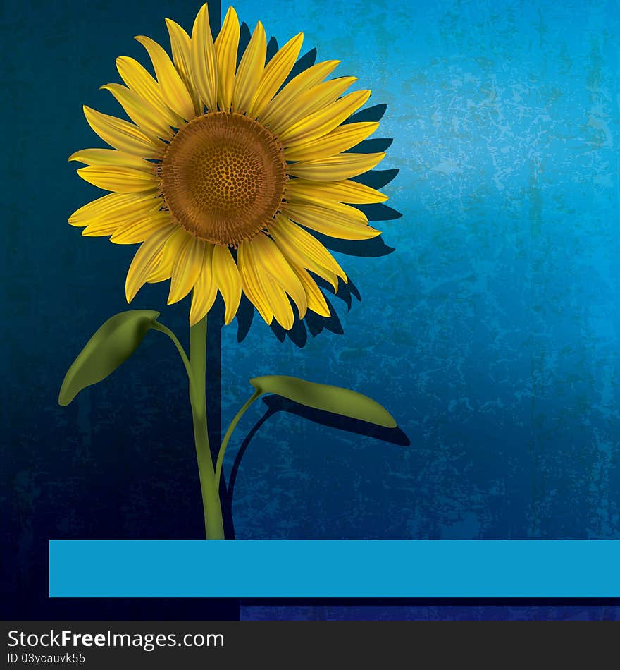 Grunge floral illustration with sunflower