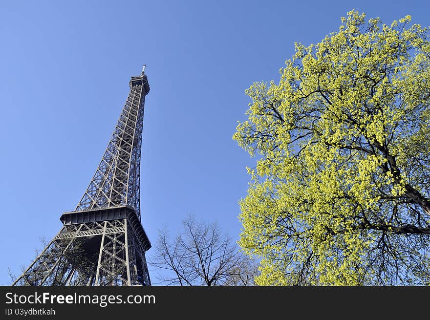 The Eiffel Tower in Paris, France