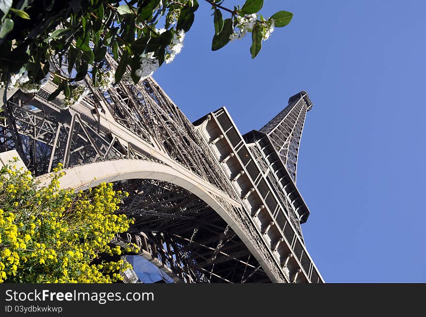 The Eiffel Tower in Paris, France