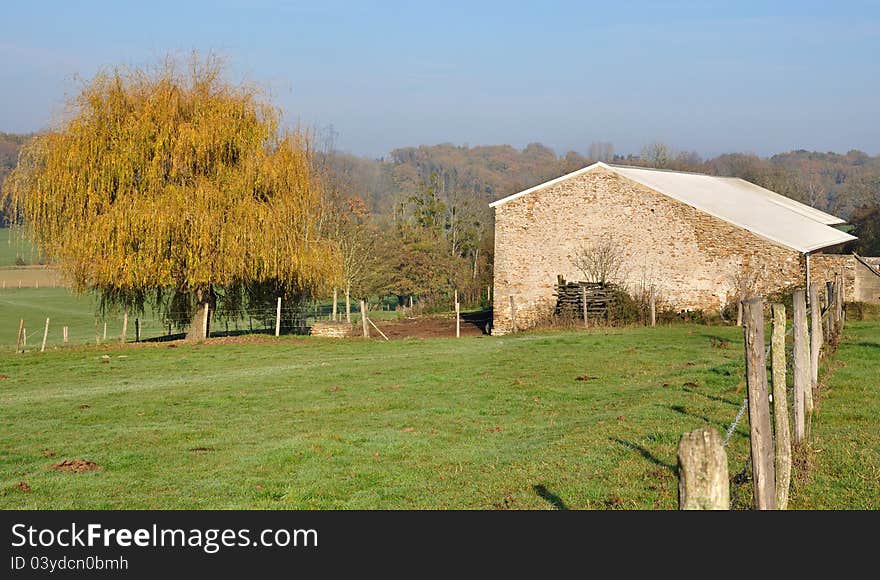 Rural Scene