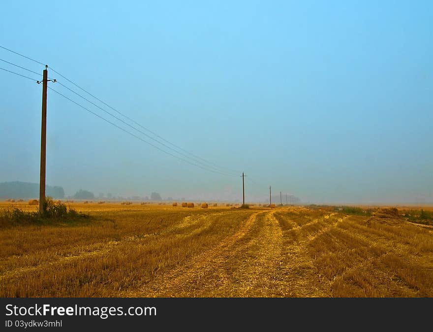 Morning landscape with telegraph poles