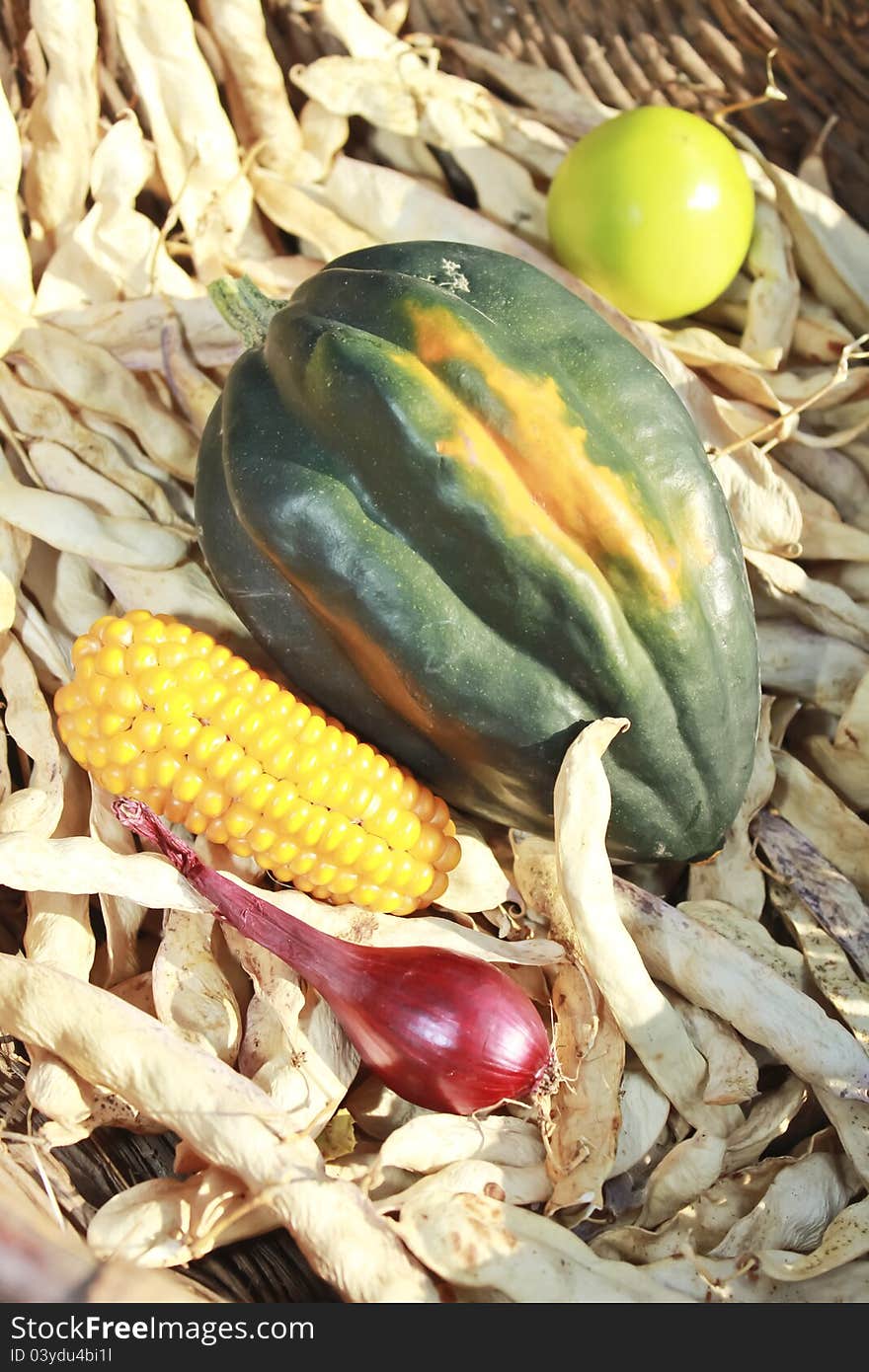 A pumpkin, corn, a tomato and dried beans sitting in a basket. A pumpkin, corn, a tomato and dried beans sitting in a basket