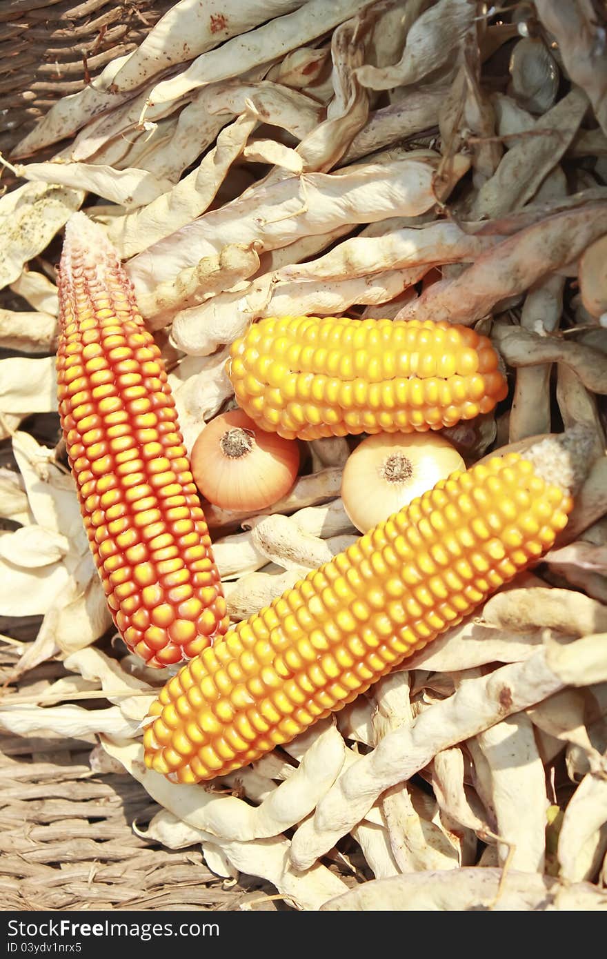 Corn, onions, dried beans sitting in a basket. Corn, onions, dried beans sitting in a basket