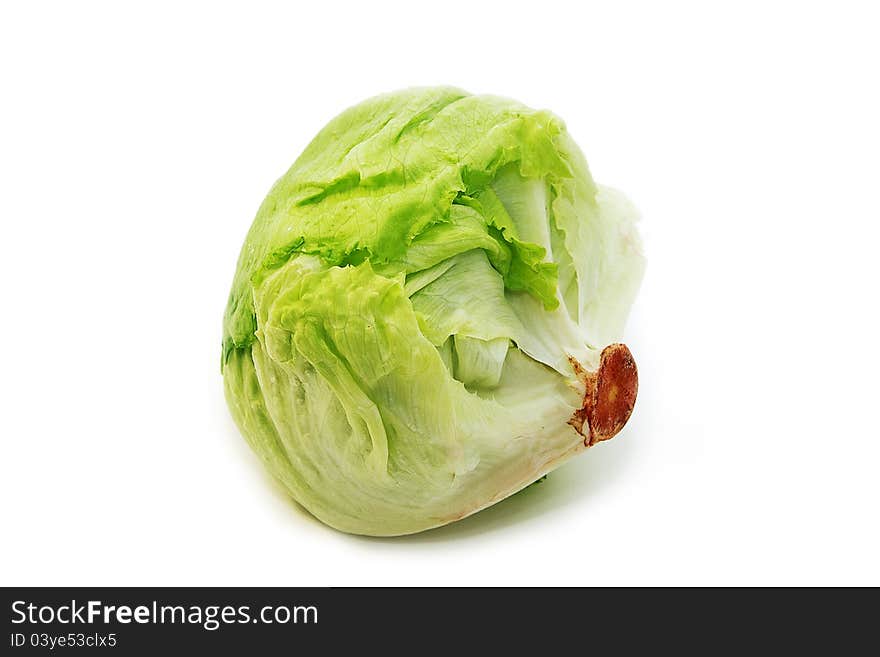 Fresh Cabbage