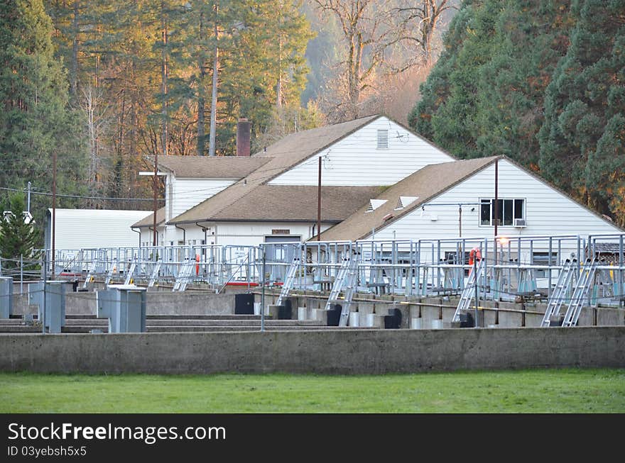 Oregon Department of Fish and Wildlife, Leaburg Fish Hatchery. Leaburg Hatchery is located along the McKenzie River (Willamette Basin) 4 miles east of Leaburg, Oregon, on Highway 126. Leaburg Hatchery was constructed in 1953 by the U.S. Army Corps of Engineers (COE) to mitigate for lost trout habitat caused by construction of Blue River and Cougar dams and other Willamette Valley projects. The hatchery is used for egg incubation and rearing of summer steelhead and cutthroat trout, and for rearing trout.