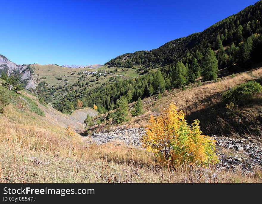 Pastures of Villard-Reymond