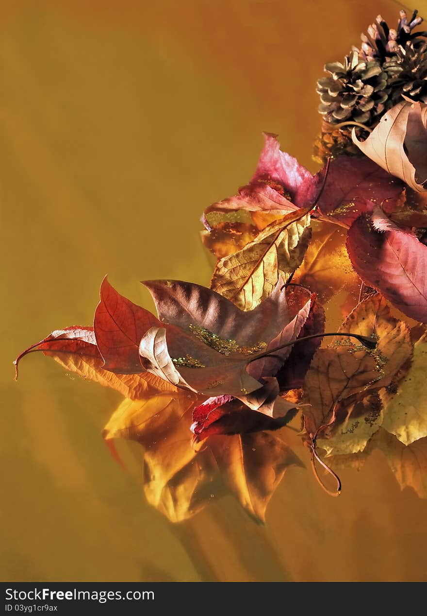 Composition of leaves in autumn colors and pine cones and glitter on gold paper and glitter. Composition of leaves in autumn colors and pine cones and glitter on gold paper and glitter