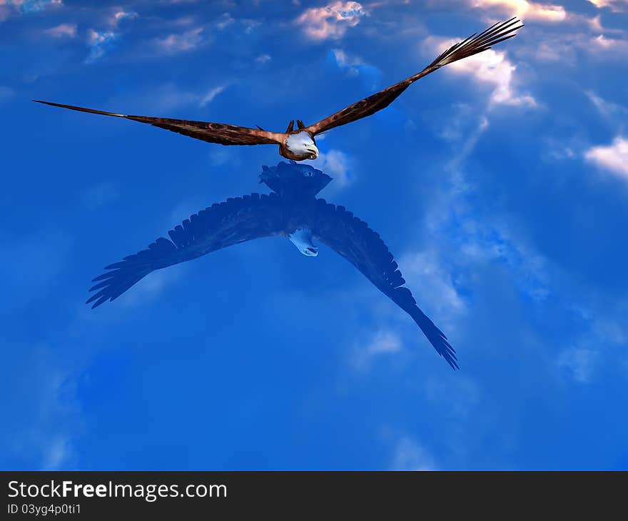 3d ilustration eagle fishing in the sea. 3d ilustration eagle fishing in the sea