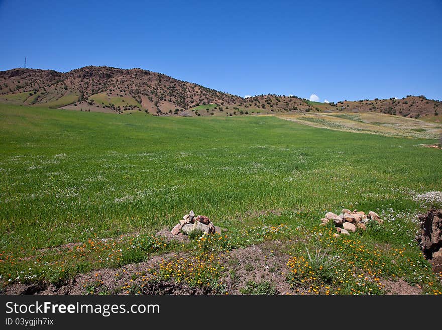 Moroccan green landscape (horizontal). On the road to Fes and Marrakech.