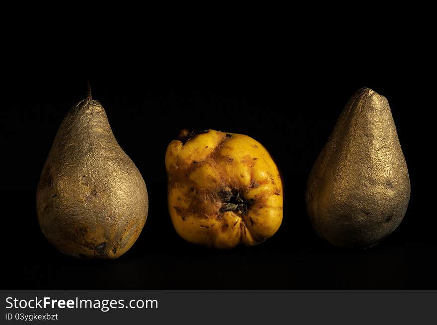 Two pears and quince studio isolated