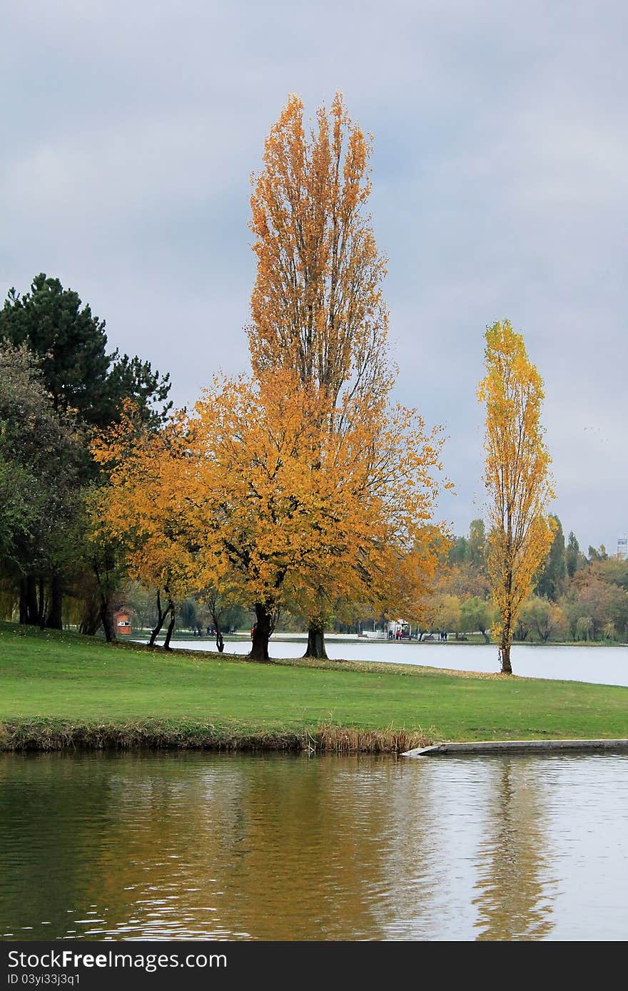 Autumn trees near the lake