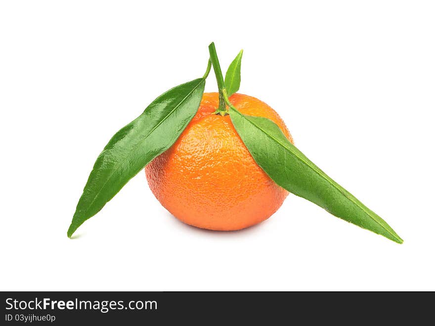 Tangerine with leaves on a white