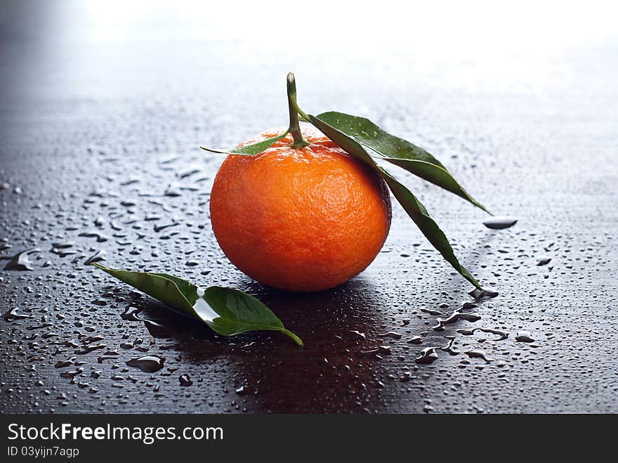 Tangerine with leaves on dark background