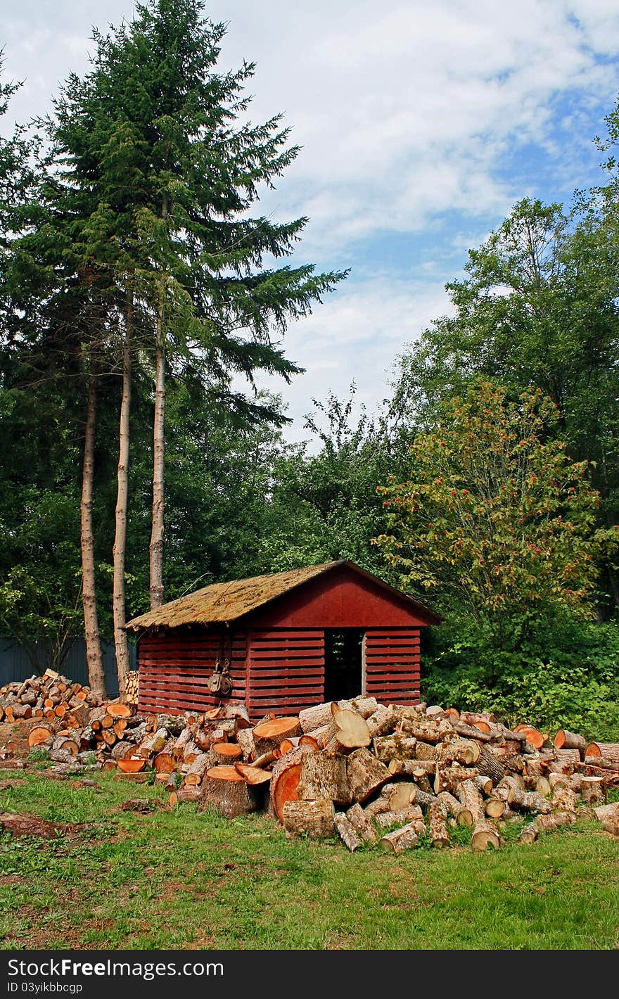 Winter wood drying and waiting to be split, then stacked nicely in the shed. Winter wood drying and waiting to be split, then stacked nicely in the shed.