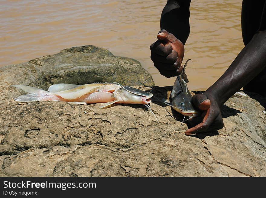 Fisherman prepares fish