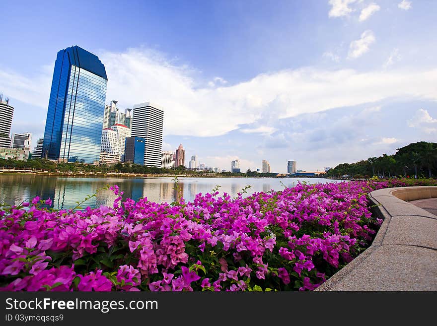 Flower and waterfront of building landscape