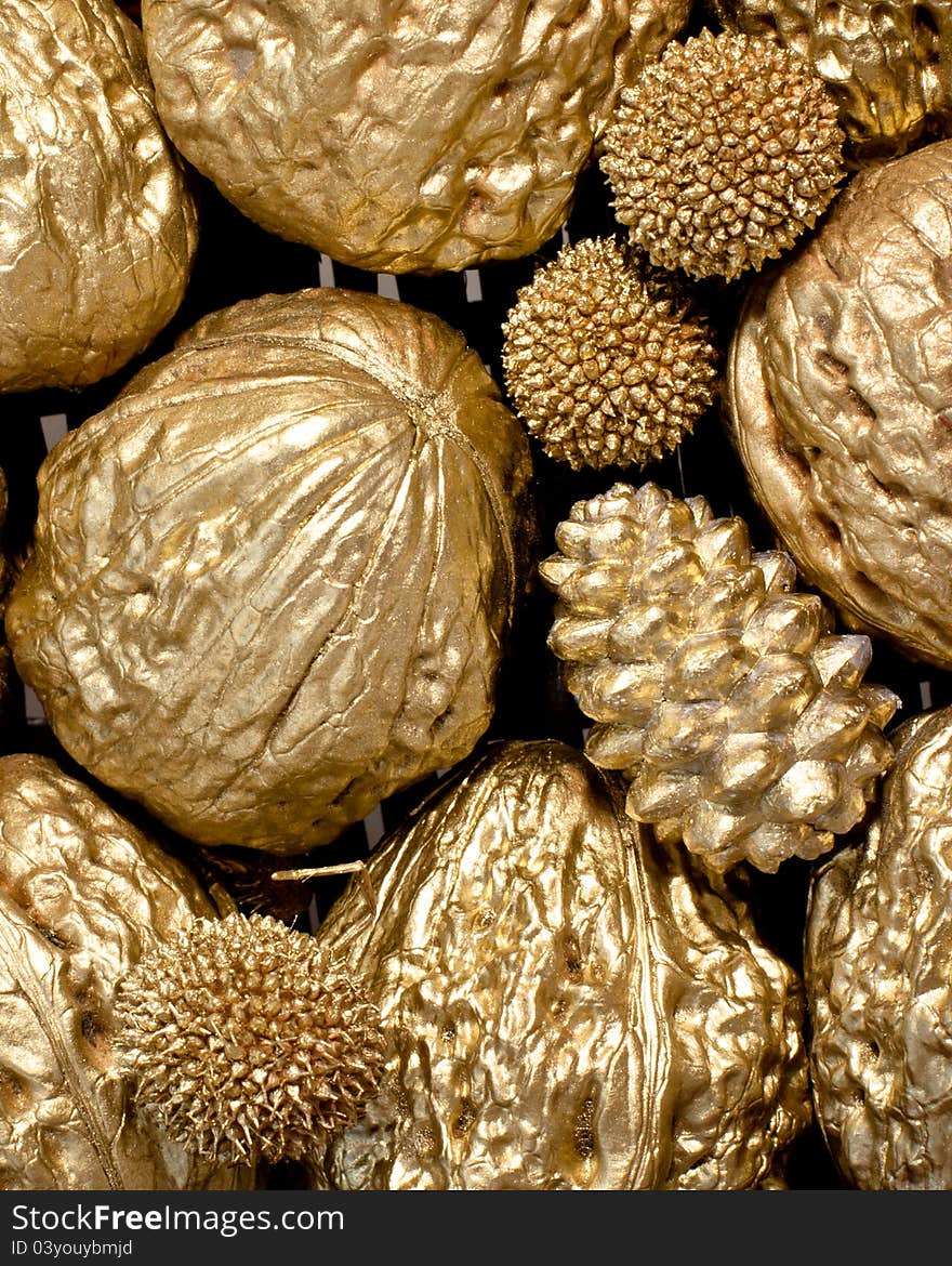 Big golden walnuts and cone close-up